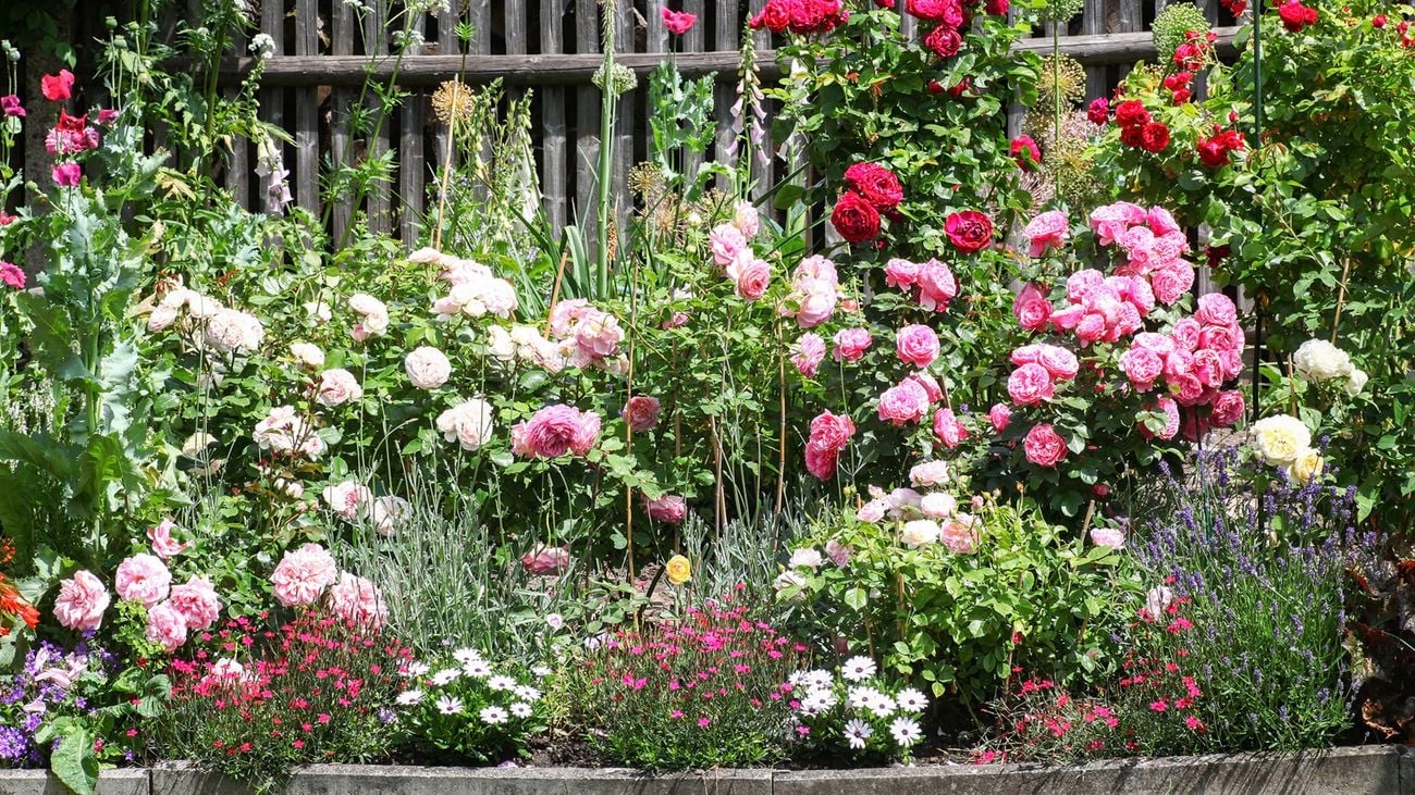 D.I.Y. - Step04 – The best garden ideas for spring 