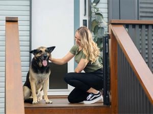 Young woman touching a dog.