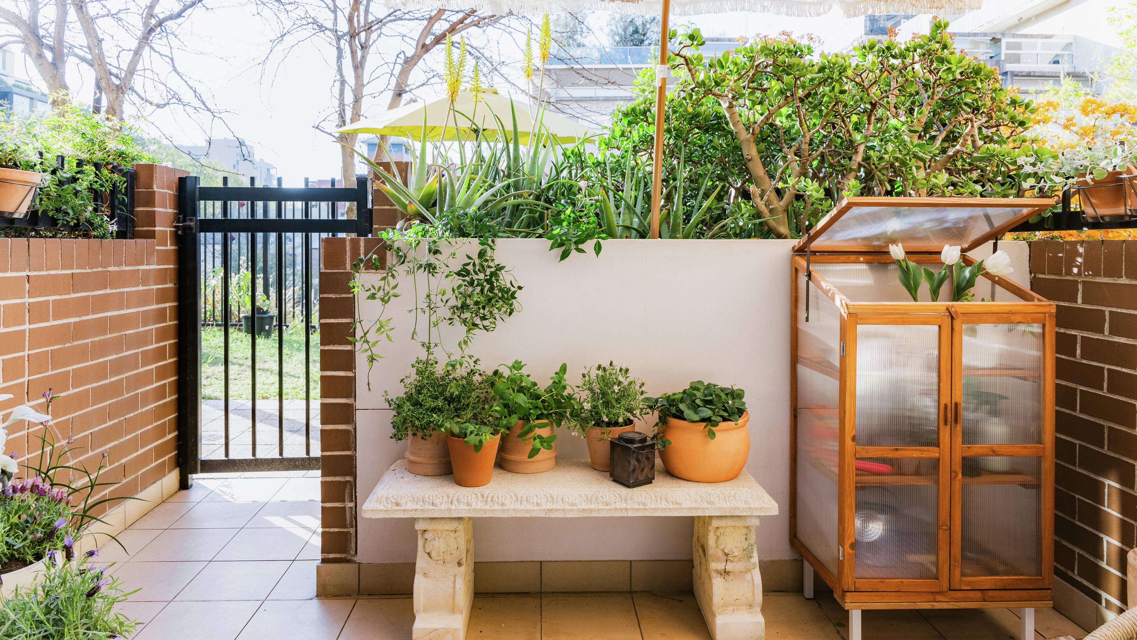 Compact apartment courtyard filled with potted plants and vertical greenery.