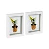 Nicola Spring 5" x 7" White 3D Box Photo Frames - 4" x 6" Mount - Pack of 2