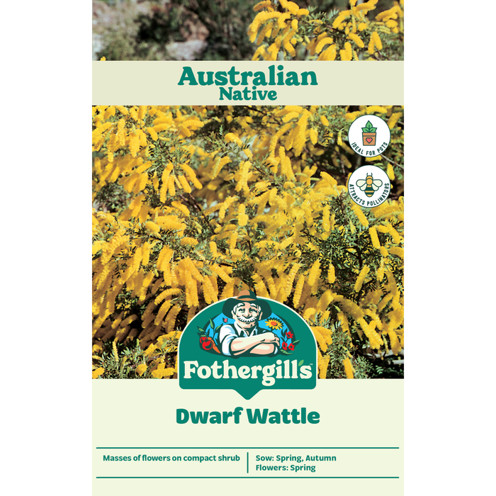 Fothergill's Australian Native Wildflower Dwarf Wattle Seeds