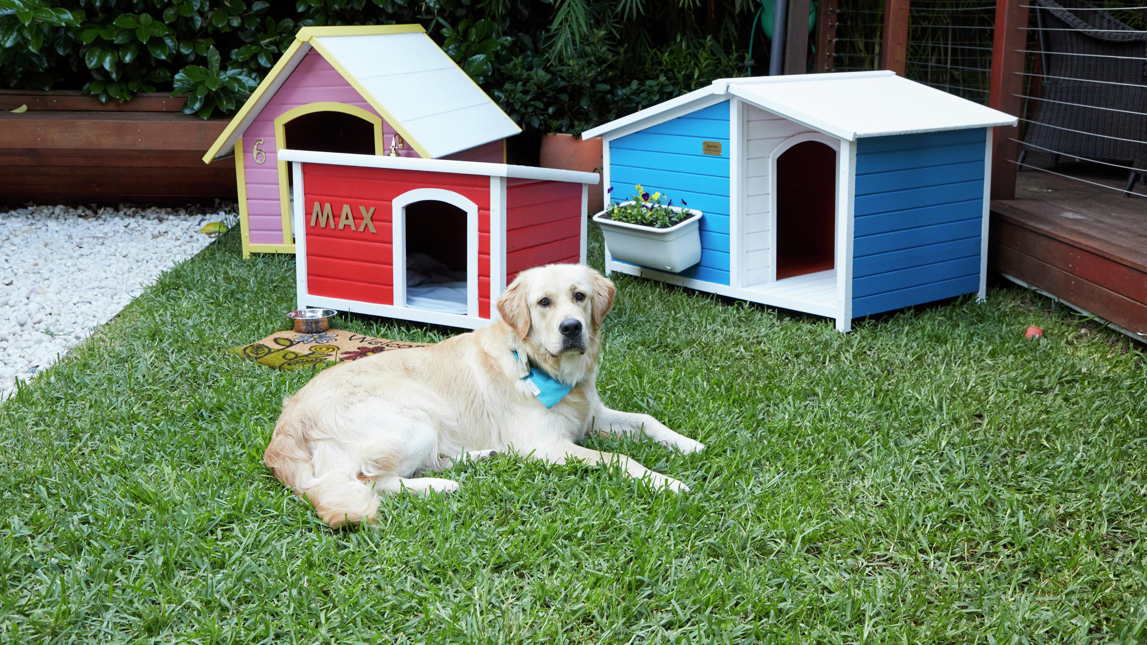 Bunnings kennel 2025