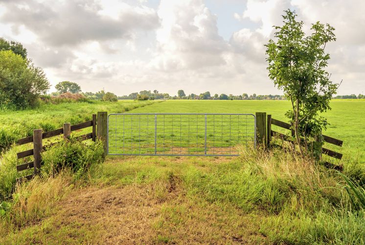 RapidFence fencing, gates and boundary solutions in outdoor environments