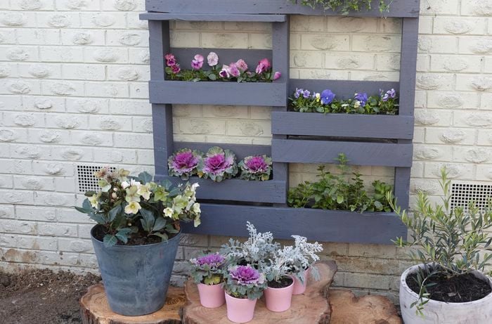 A painted timber vertical shelf with potted plants against a brick wall 