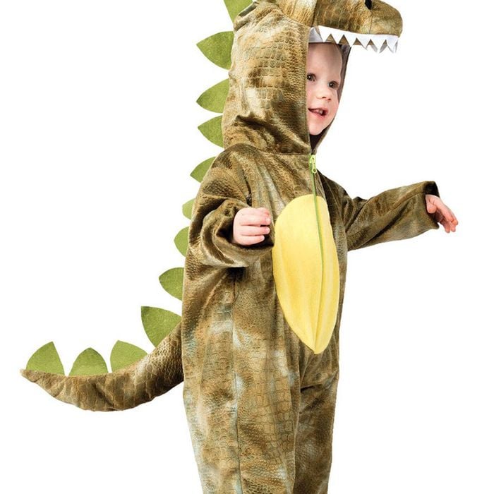 Roarin Rex Boys Dinosaur Costume - 3-5
