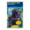 Fiesta Flower Bulbs Iris Germanica Superstition Bulb
