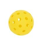 Outdoor Yellow Pickleball