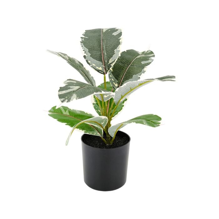 Un-REAL Lotus 40cm Artificial Rubber Plant