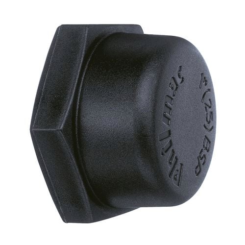 Philmac 3/4" BSP Thread Pipe Cap - Bunnings Australia
