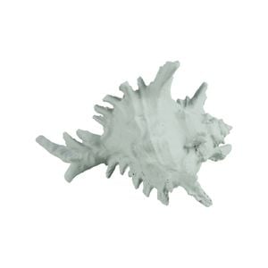 Maine & Crawford 7 Seas Resin 19cm Shell Ornament - Turquoise