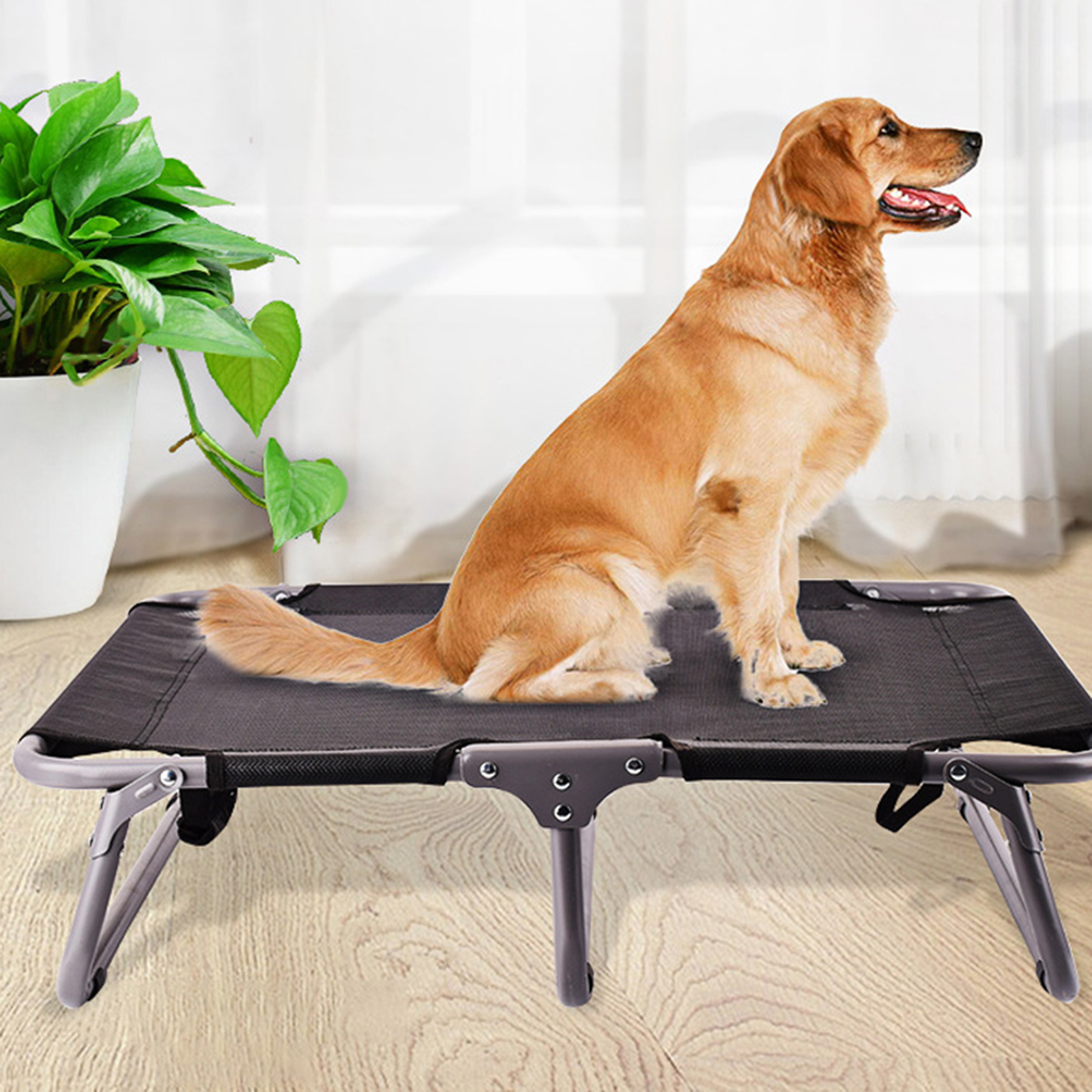 Dog trampoline bed bunnings hotsell