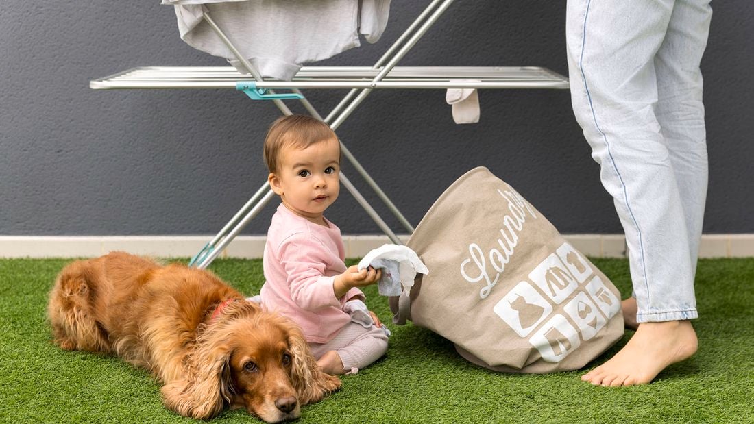 A toddler with a dog and a laundry bag sitting on turf grass.