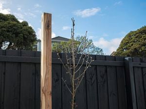 Image of post completed with concrete added to the bottom 