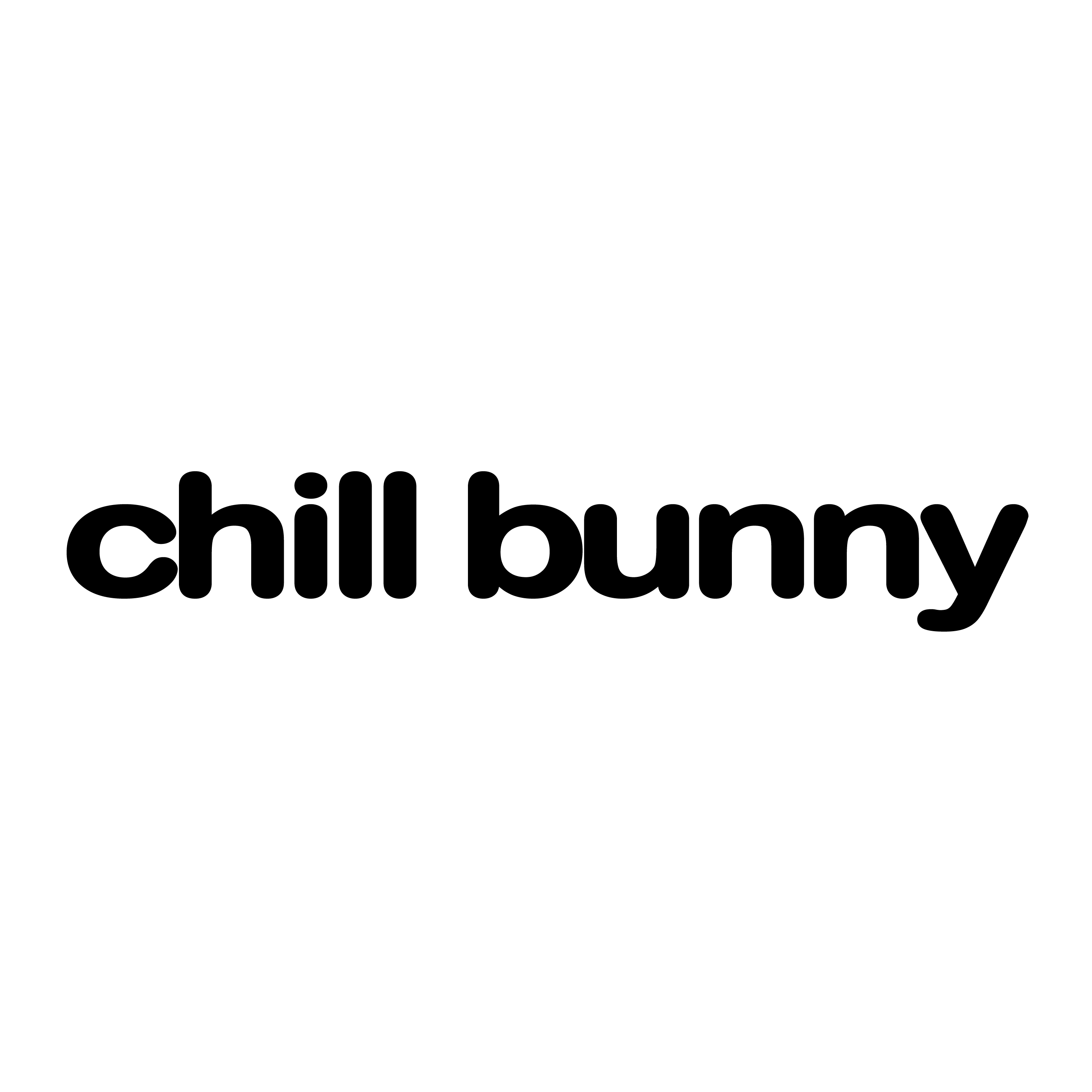 Chill Bunny