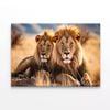 Lions Resting In the Grasslands  Print 100% Australian Made 120 x 90cm  (Stretched)