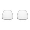 2PK Ecology Fleur Bouquet Glass Vase Decorative Flower Vessel 15cm