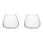 2PK Ecology Fleur Bouquet Glass Vase Decorative Flower Vessel 15cm