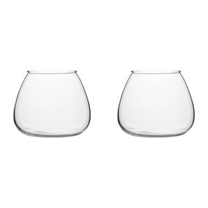 2PK Ecology Fleur Bouquet Glass Vase Decorative Flower Vessel 15cm