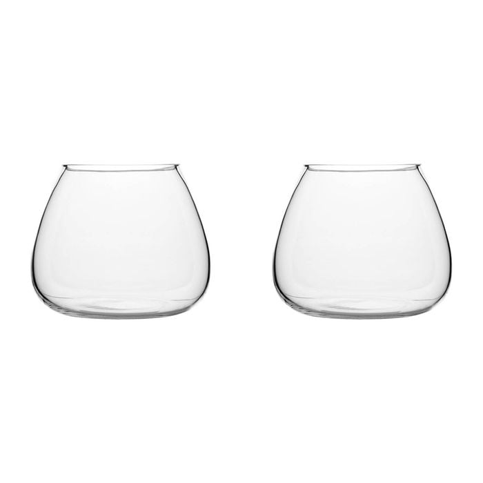 2PK Ecology Fleur Bouquet Glass Vase Decorative Flower Vessel 15cm