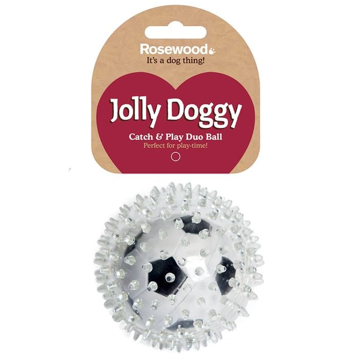 Rosewood Catch & Play Football Pet Toy
