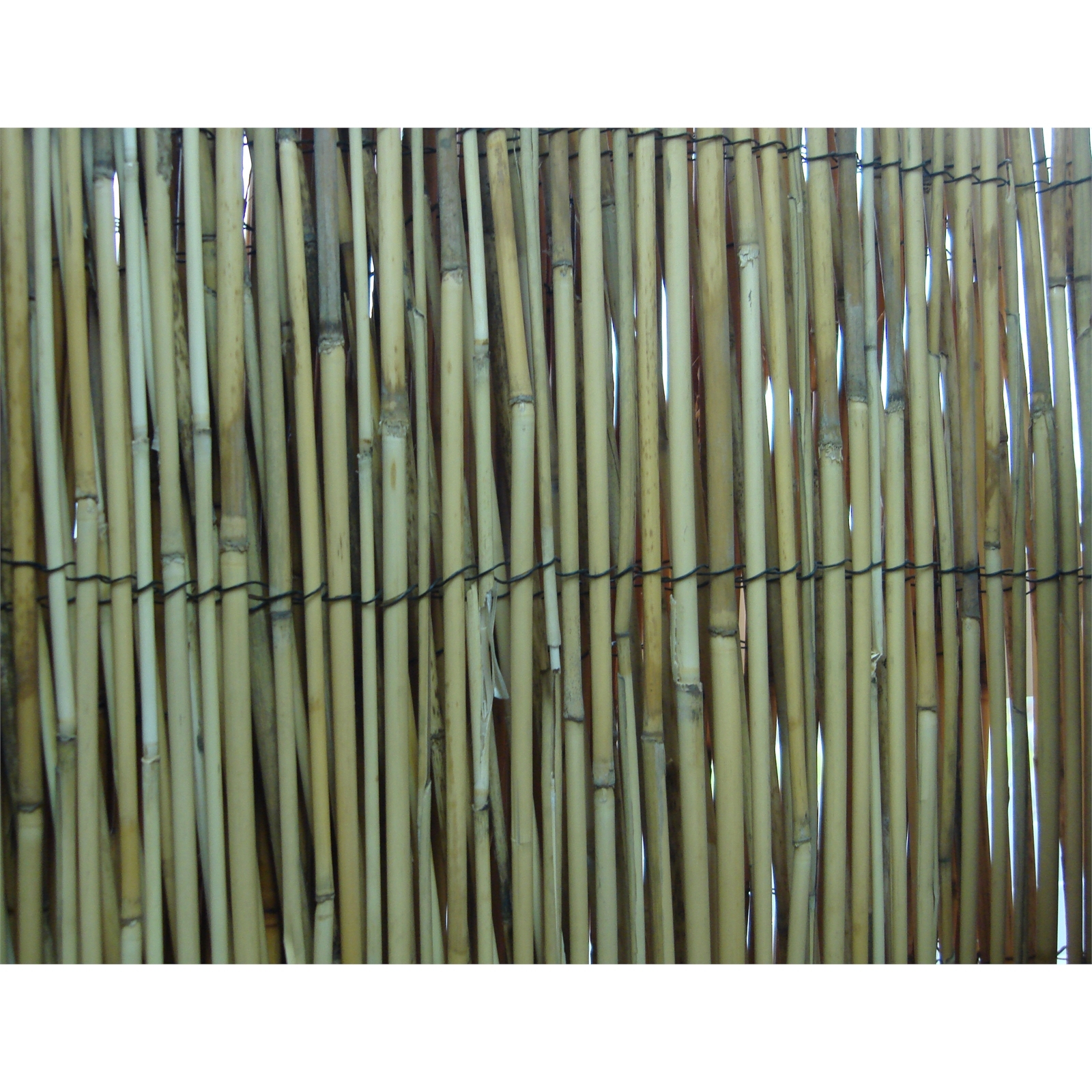 EDEN 1.8 x 3m Euro Reed Screen Fencing