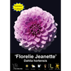 Yarra Valley Bulbs Florelie Jeanette - 1 Pack