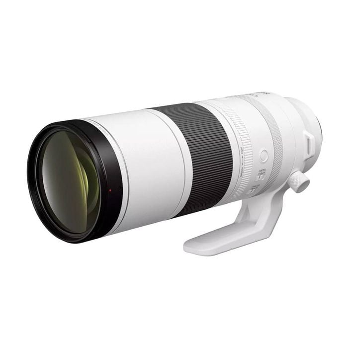 Canon RF 200-800mm f/6.3-9 IS