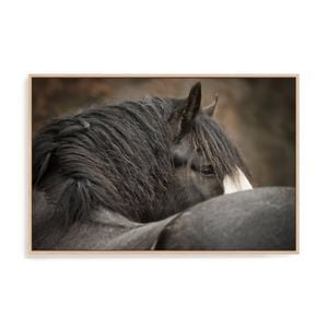 Artey | Looking Back - Framed Canvas - Natural Frame - 110 x 165cm