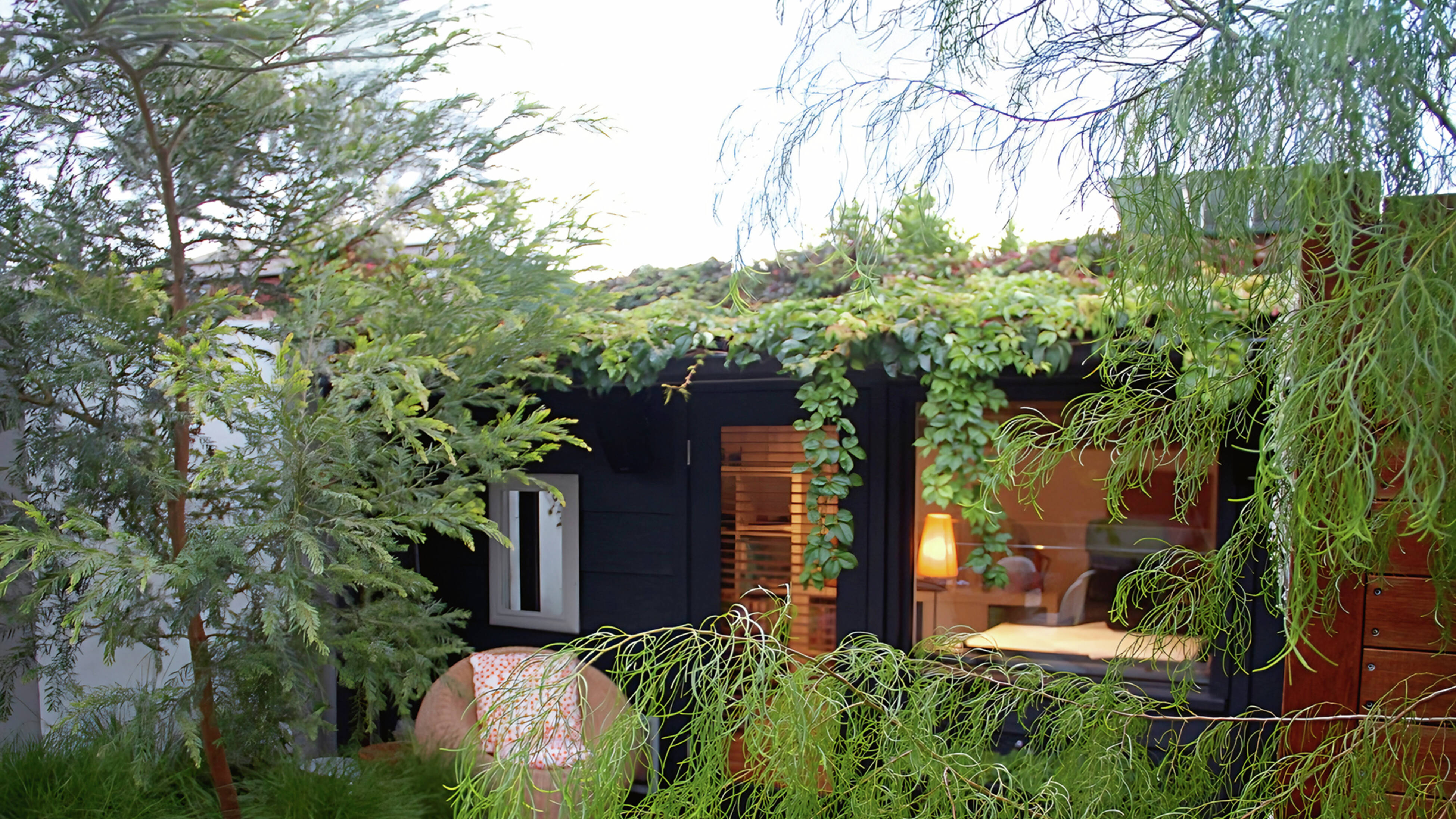 Lush suburban garden with a small dark studio building featuring a green vine-covered roof, framed by leafy trees and shrubs