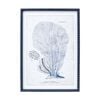 Lvd Wooden Frame Coastal Navy Coral Print Wall Hanging Decor 50x70cm Assorted