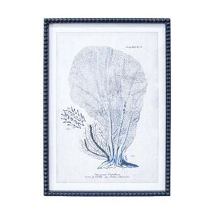 Lvd Wooden Frame Coastal Navy Coral Print Wall Hanging Decor 50x70cm Assorted