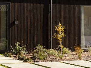 A modern house with a dark corrugated roof and landscaped garden.   