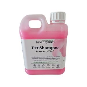 BioEnzymes Strawberry 2 in 1 Shampoo & Conditioner 1lt
