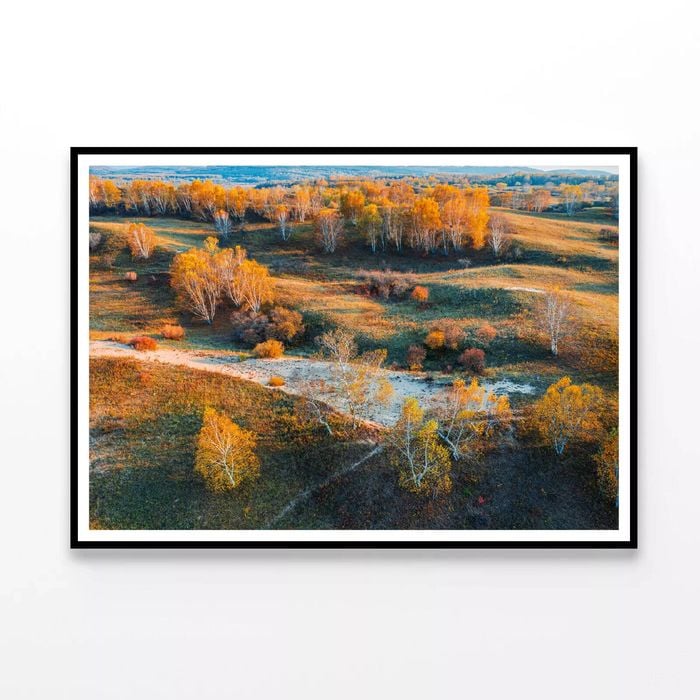 Grassland Nature in autumn  Print 100% Australian Made 90x60cm  (Poster)