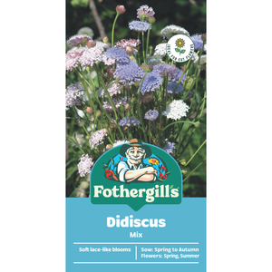 Fothergill's Didiscus Mix Flower Seeds