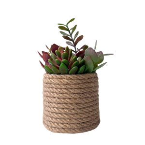 Un-Real 22cm Artificial Succulents in Rope Pot