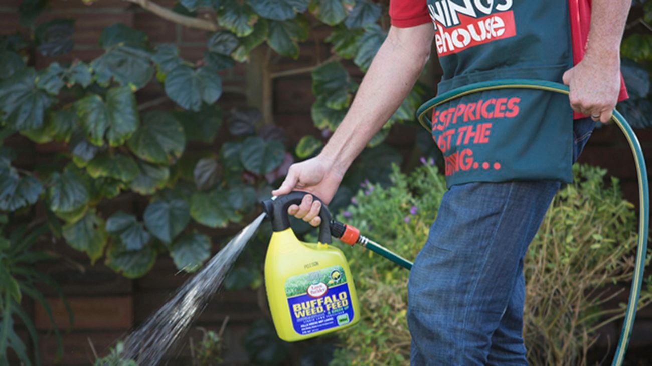 Person fertilising lawn with Buffalo Weed Feed.