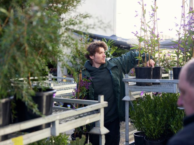 Trade Service - Commercial Greenlife - Image Gallery - 1