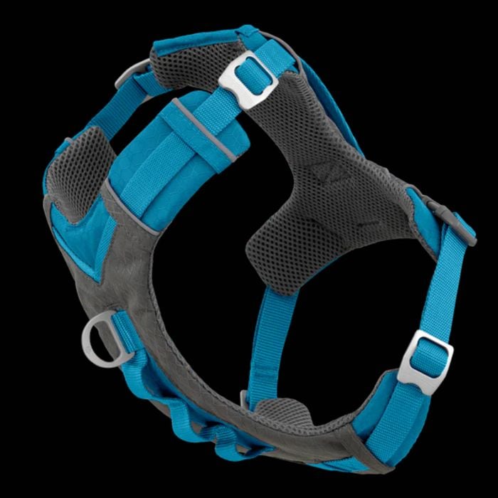 Kurgo Dog Harness Journey Air - Blue X Large