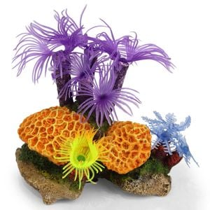Kazoo Purple Tunicate Coral Assorted 1pk (19455)