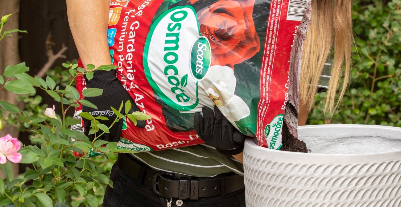 Horticulturist Melissa King fills an outdoor pot with Scotts Osmocote Rose, Gardenia & Azalea potting mix.