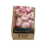 Yarra Valley Bulbs Garlic El-Camino - 2 Pack