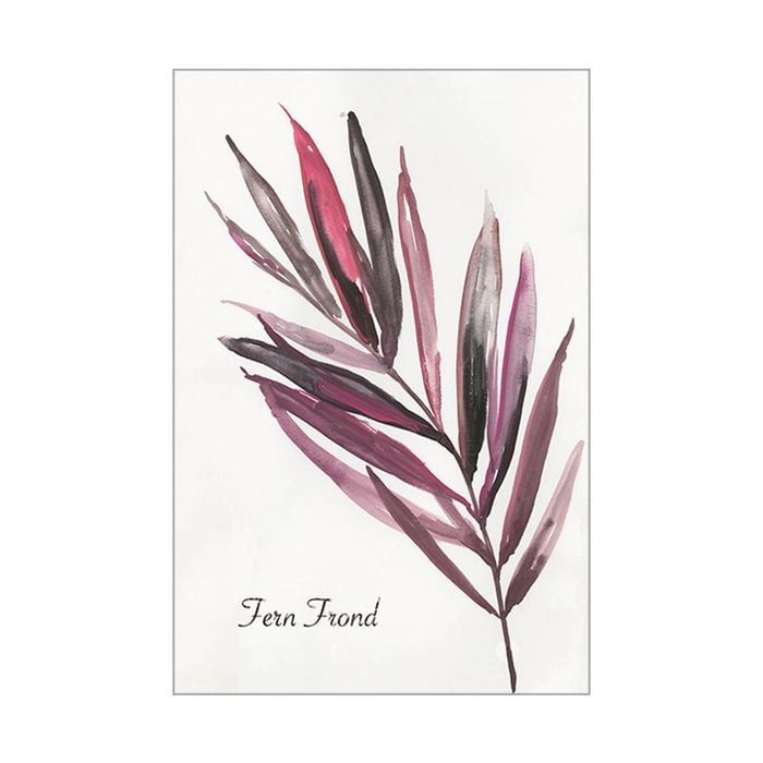 Artey | Fern Frond - Stretched Canvas - Stretched Canvas - 100 x 150cm