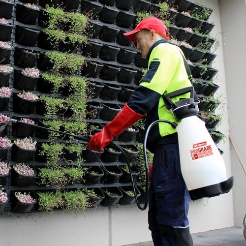 8 litre rechargeable sprayer being used on a vertical garden