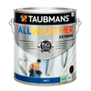 Taubmans 4L Accent Matt All Weather Exterior Paint