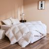 Bedding Co. Canadian Goose Down Quilt Soft Winter Warmth Queen