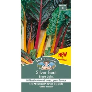Mr Fothergill's Seed Silverbeet Bright Lights