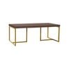 Shaan Walnut and Gold Coffee Table
