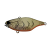 Jackall TN38 Hard body Vibration Fishing Lure Brown Suji Shrimp