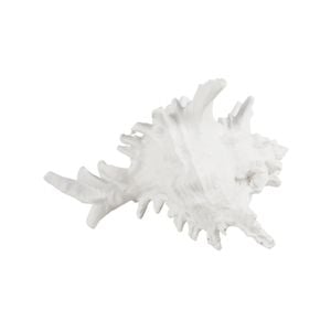 Maine & Crawford 7 Seas Resin 19cm Coral Ornament - White